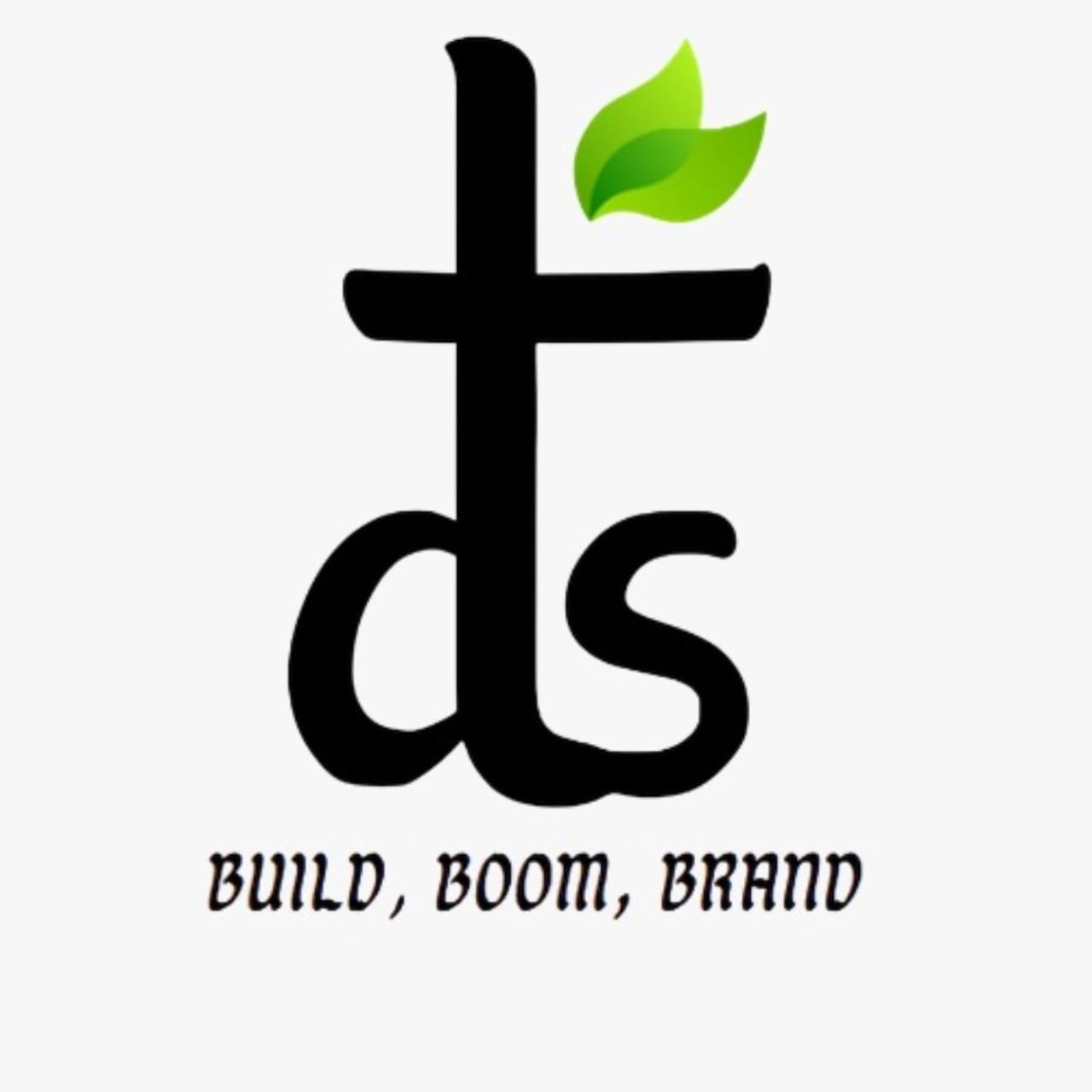DS Logo